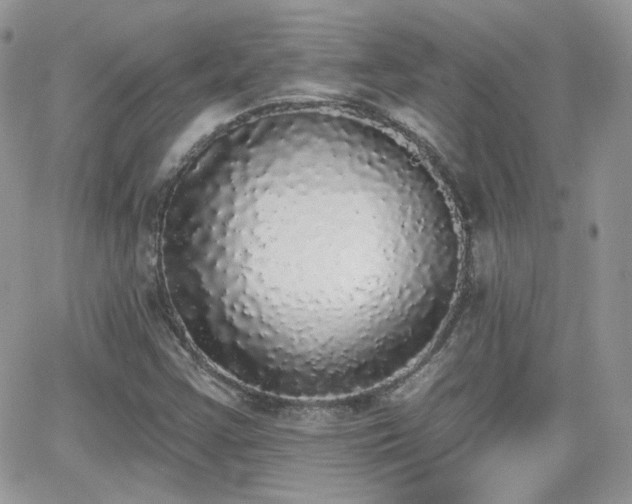 X0000066971355200603271157