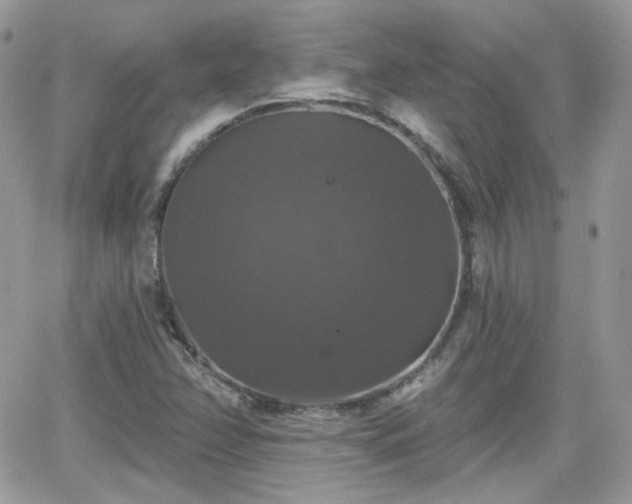 X0000066971358200603271157