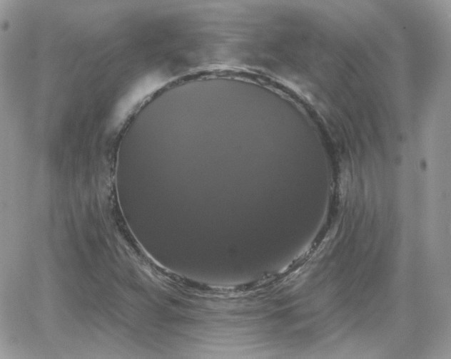 X0000066971359200603271157