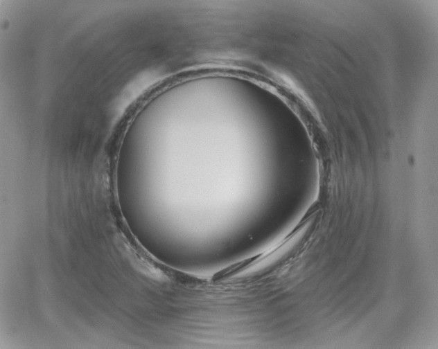 X0000066971360200603271157