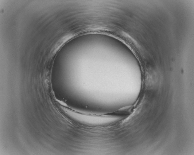 X0000066971361200603271157