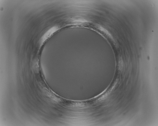 X0000066971362200603271157