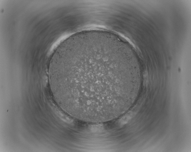 X0000066971363200603271157