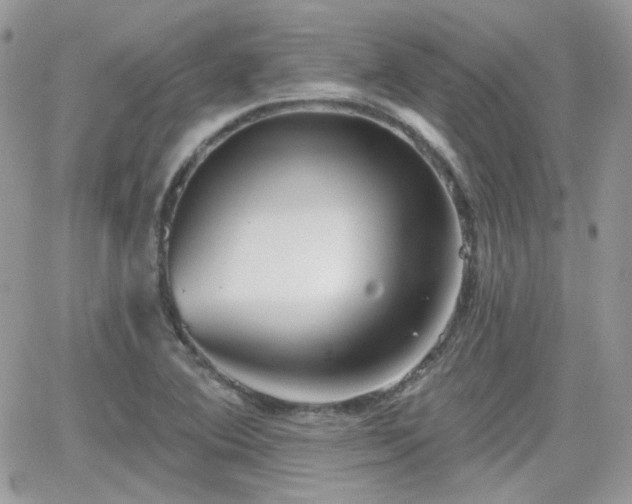 X0000066971364200603271157