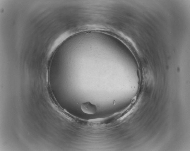 X0000066971365200603271157