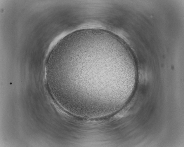 X0000066971366200603271157