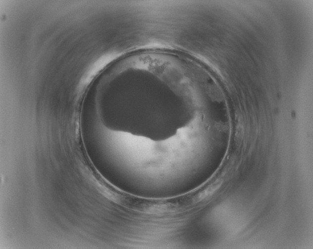 X0000066971367200603271157