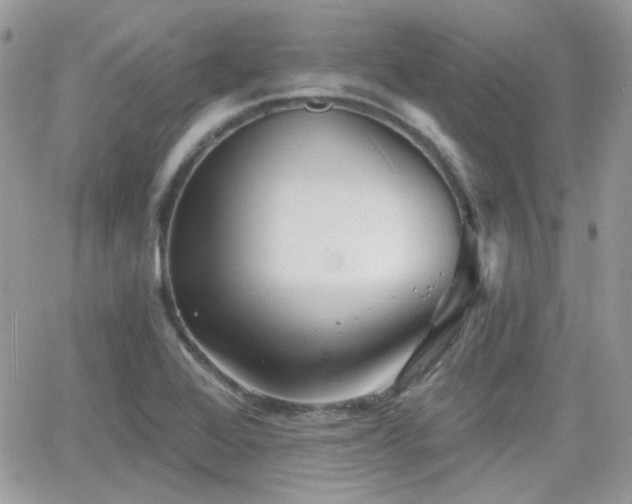 X0000066971368200603271157