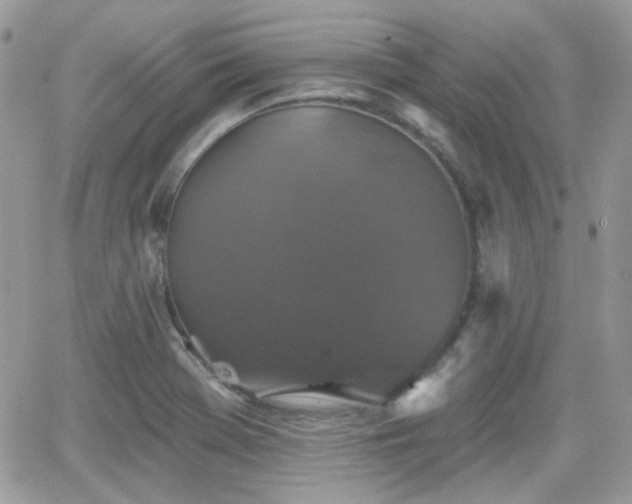 X0000066971369200603271157