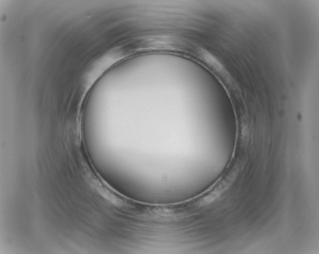 X0000066971370200603271157