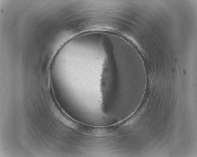 X0000066971371200603271157