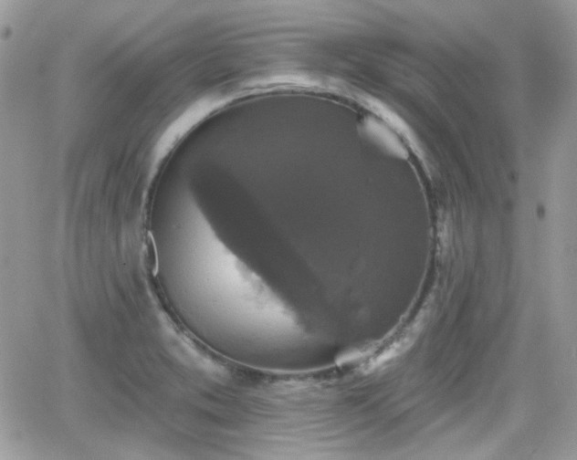 X0000066971373200603271157