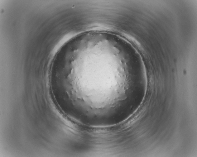 X0000066971375200603271157