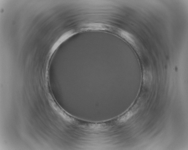 X0000066971378200603271157