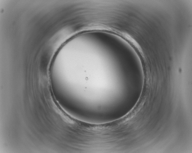 X0000066971380200603271157