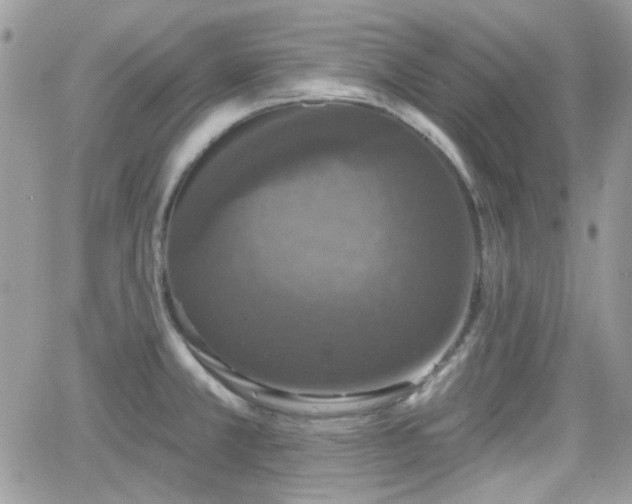 X0000066971381200603271157