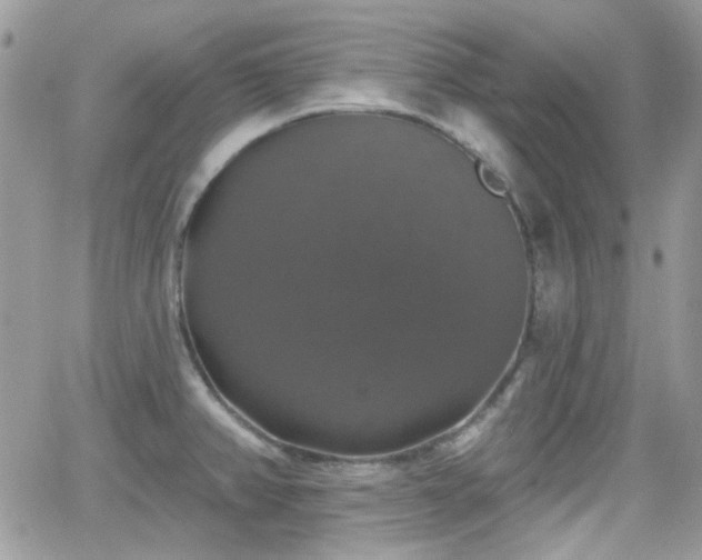 X0000066971382200603271157