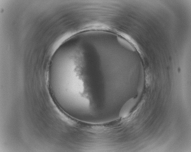 X0000066971383200603271157