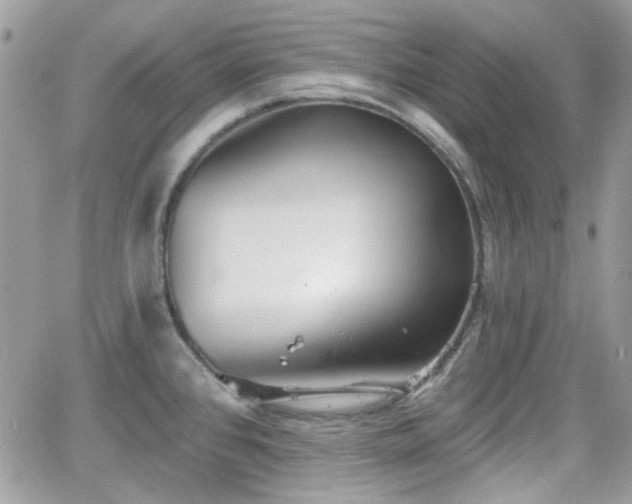 X0000066971384200603271157