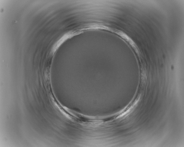 X0000066971385200603271157