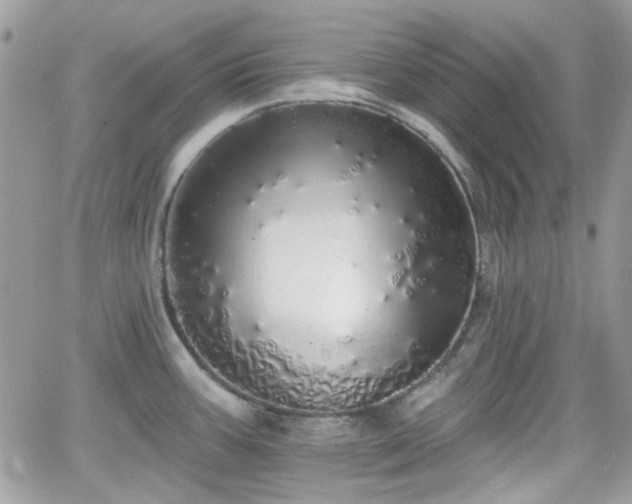 X0000066971387200603271157