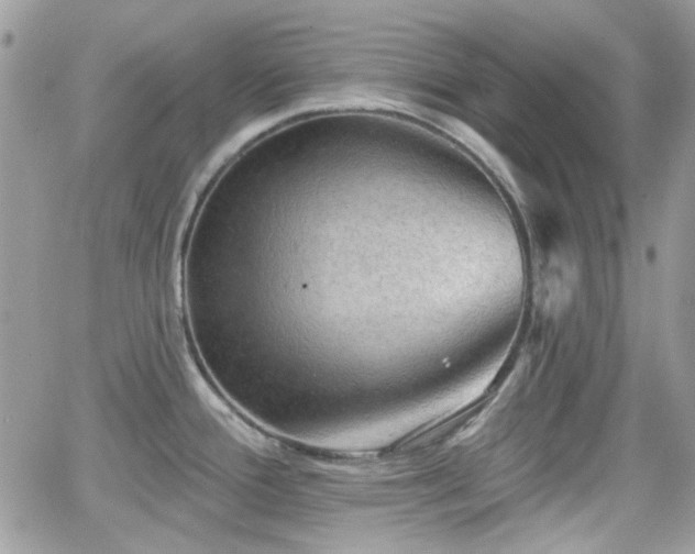 X0000066971388200603271157