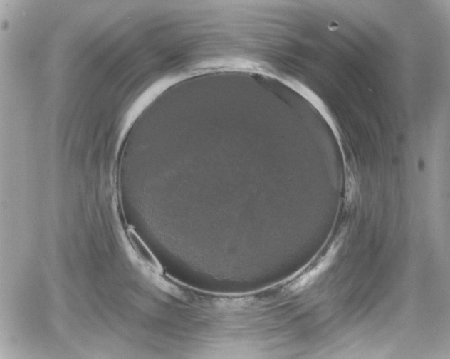 X0000066971389200603271157