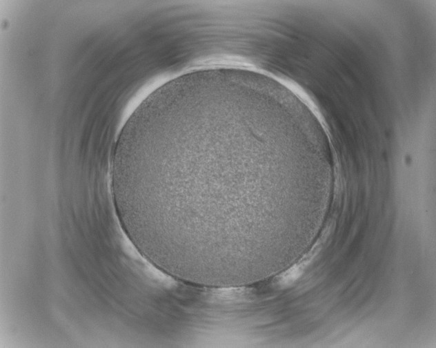 X0000066971390200603271157