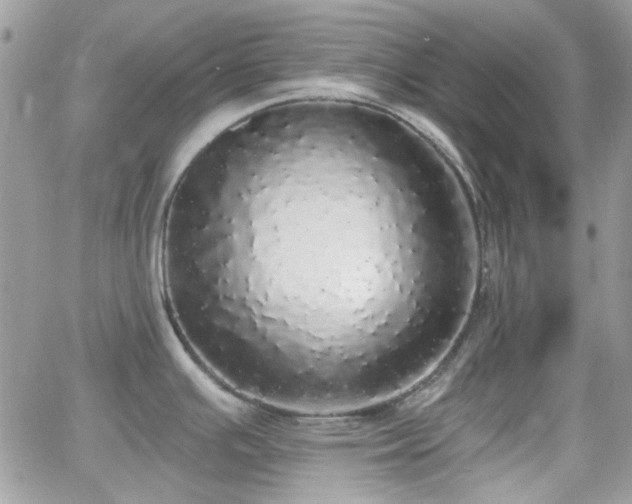 X0000066971391200603271157