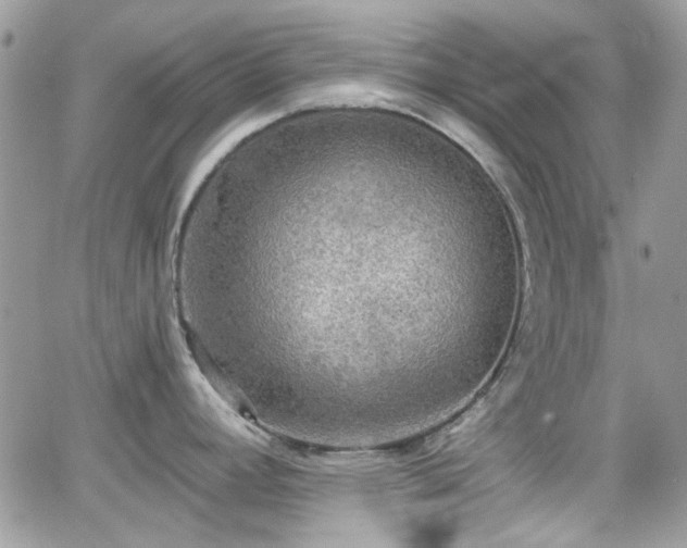 X0000066971392200603271157