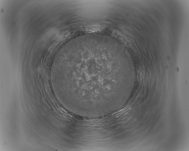 X0000066971393200603271156