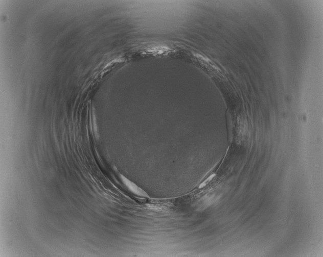 X0000066971394200603271156