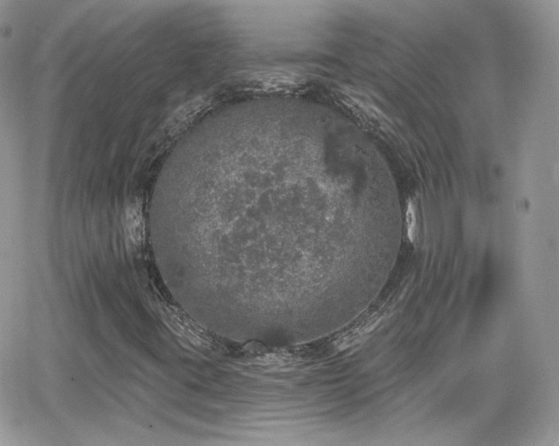 X0000066971395200603271156