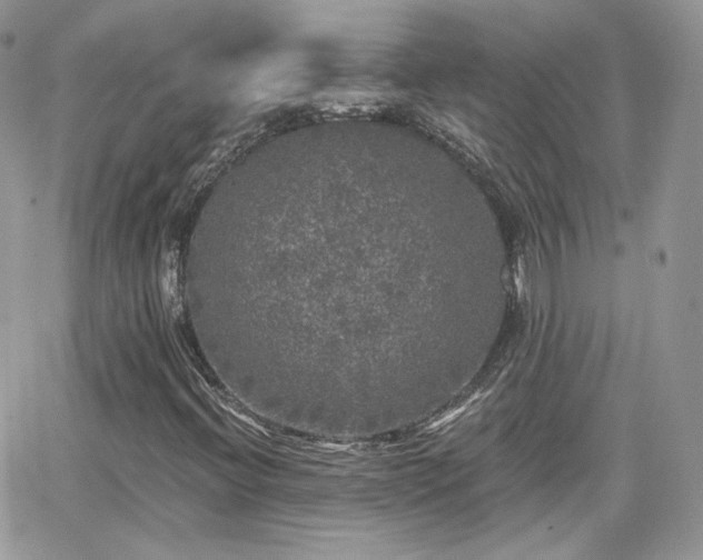 X0000066971396200603271156