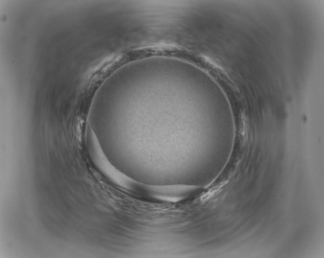 X0000066971398200603271156