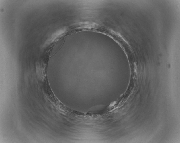 X0000066971399200603271156