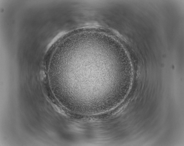 X0000066971400200603271156