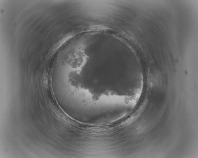 X0000066971401200603271156