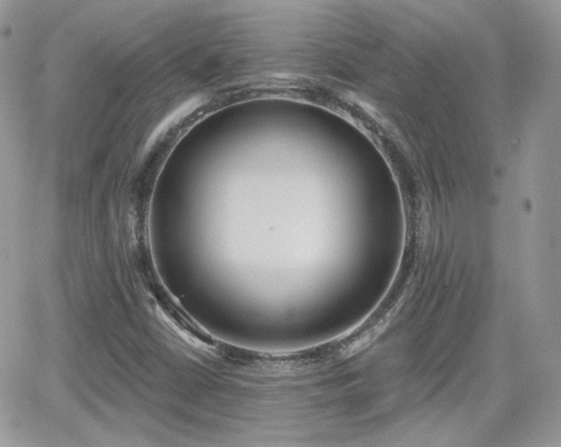 X0000066971402200603271156