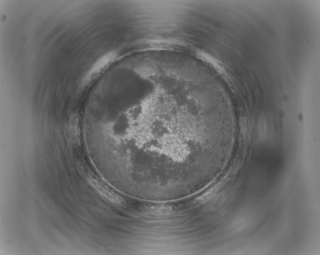 X0000066971403200603271156