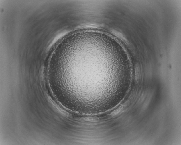 X0000066971404200603271156