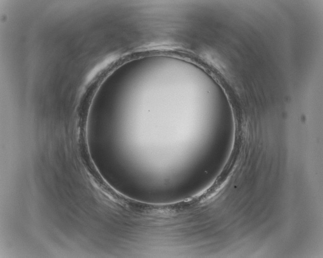 X0000066971406200603271156