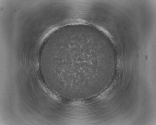 X0000066971407200603271156