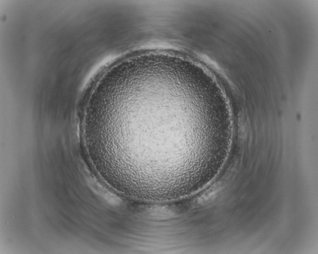 X0000066971408200603271156