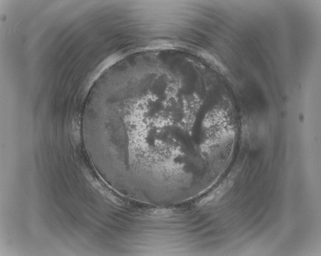 X0000066971409200603271156