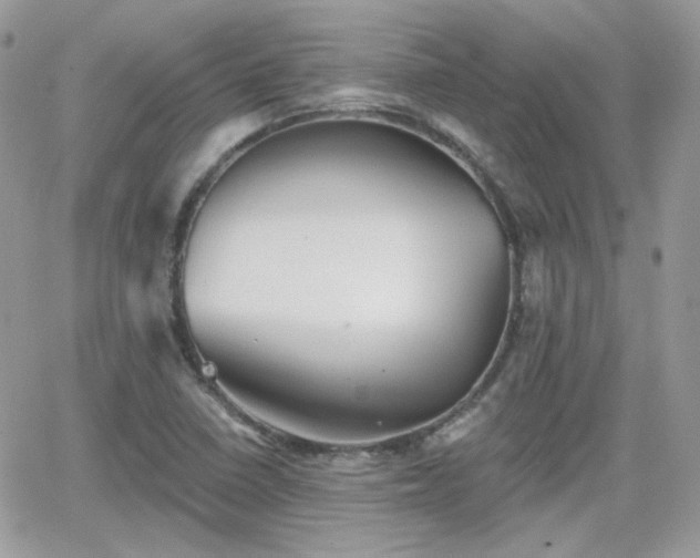 X0000066971410200603271156