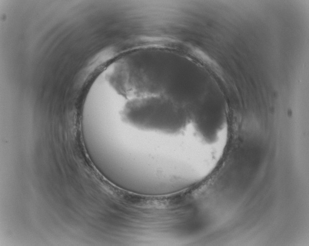 X0000066971411200603271156