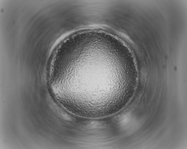 X0000066971412200603271156