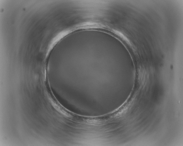 X0000066971413200603271156