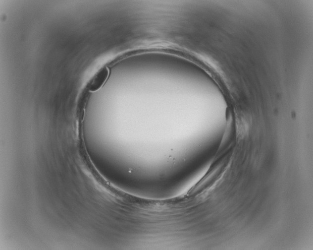 X0000066971414200603271156